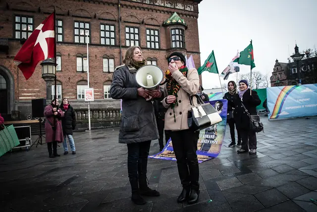 Demonstration mod sexkøb (16/16)