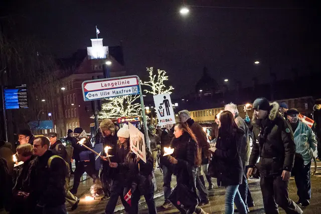For og imod Pegida (11/15)