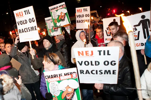 For og imod Pegida (12/15)