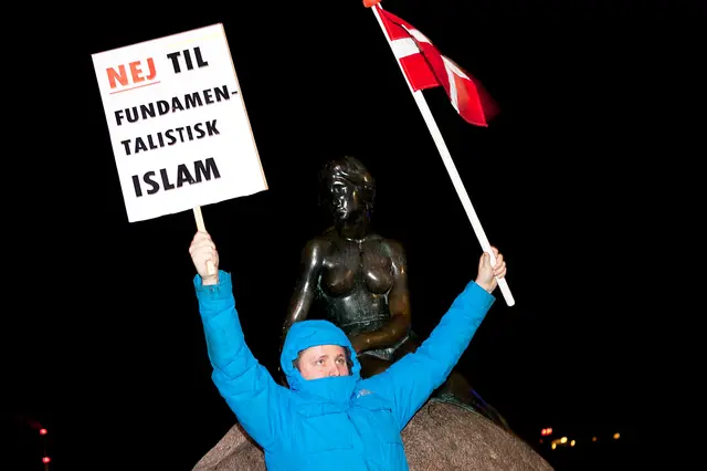 For og imod Pegida (14/15)