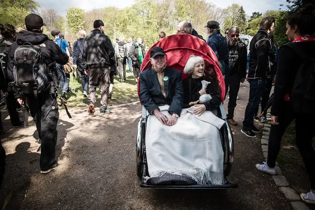 Forår, fest og 1. maj (12/17)
