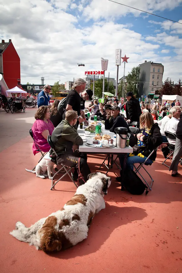 Gadefest mod vold, trusler og bøller (2/14)
