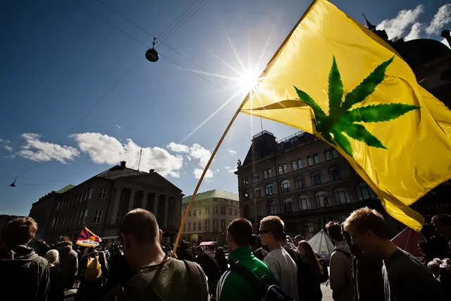 Helt ude i hampen (17/24)