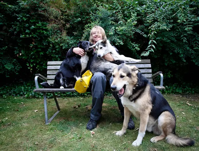 Runar med hundene Sacha, Storm og Freja