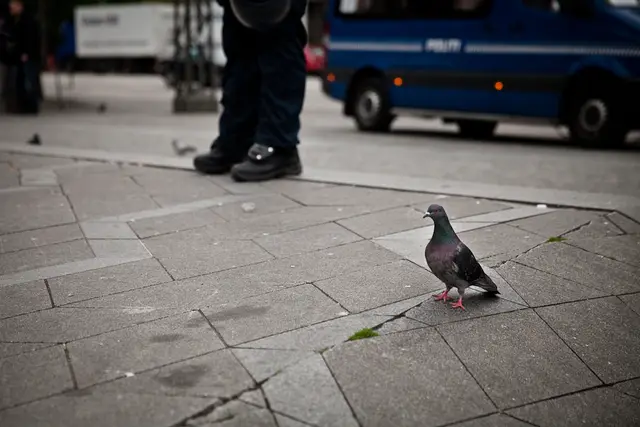 Moskemodstandere møder modstand (11/22)