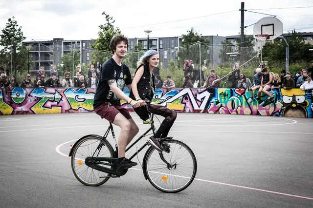 Punx Picnic 2015 (2/18)
