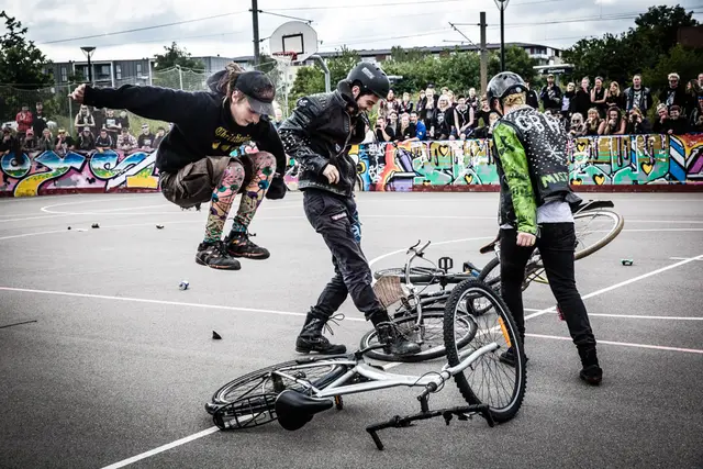 Punx Picnic 2015 (4/18)