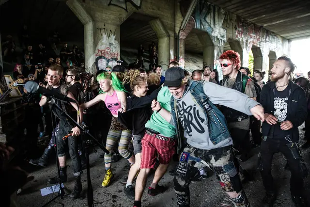 Punx Picnic 2015 (7/18)