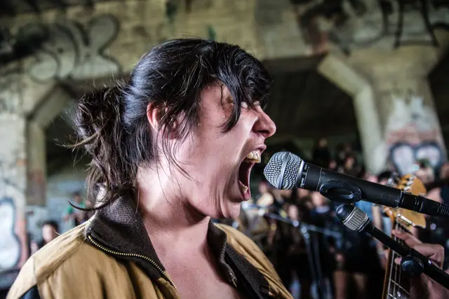 Punx Picnic 2015 (8/18)