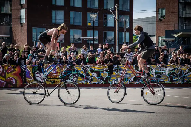 Punx Picnic 2015 (12/18)