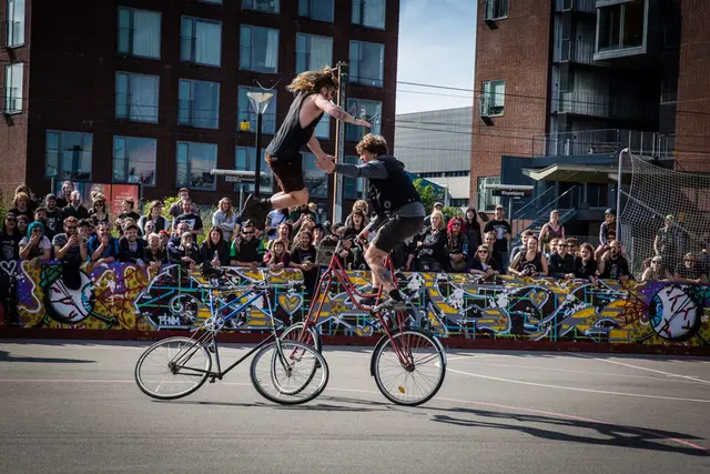 Punx Picnic 2015 (13/18)