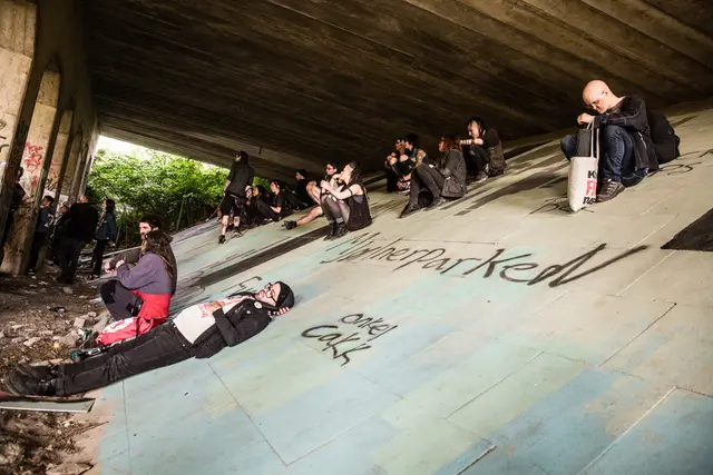 Punx Picnic 2015 (14/18)