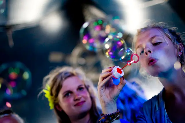 Roskilde Festival 2012 (18/33)