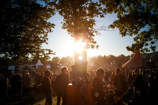 Roskilde Vibrerer (10/15)