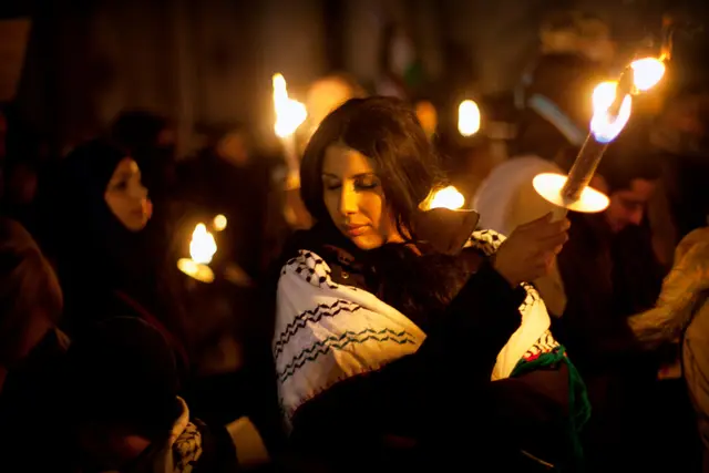 Solidaritet med Gaza (1/21)
