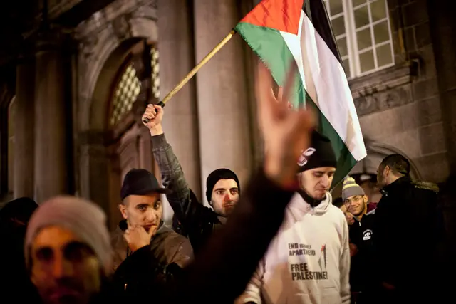 Solidaritet med Gaza (9/21)