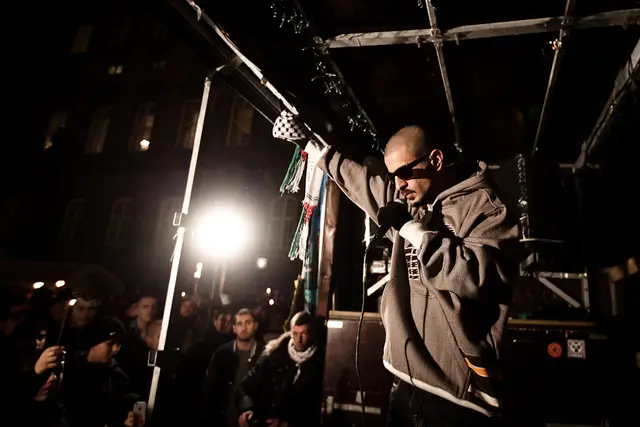 Solidaritet med Gaza (18/21)