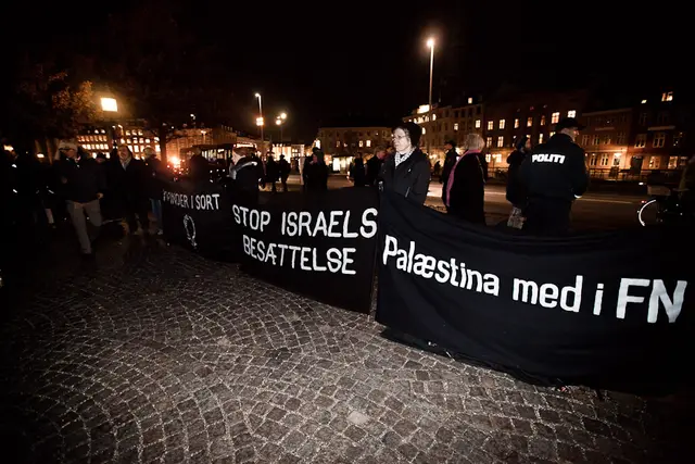 Solidaritet med Gaza (19/21)