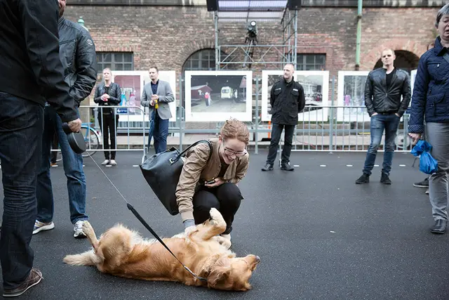 Pernille Skipper klapper hund
